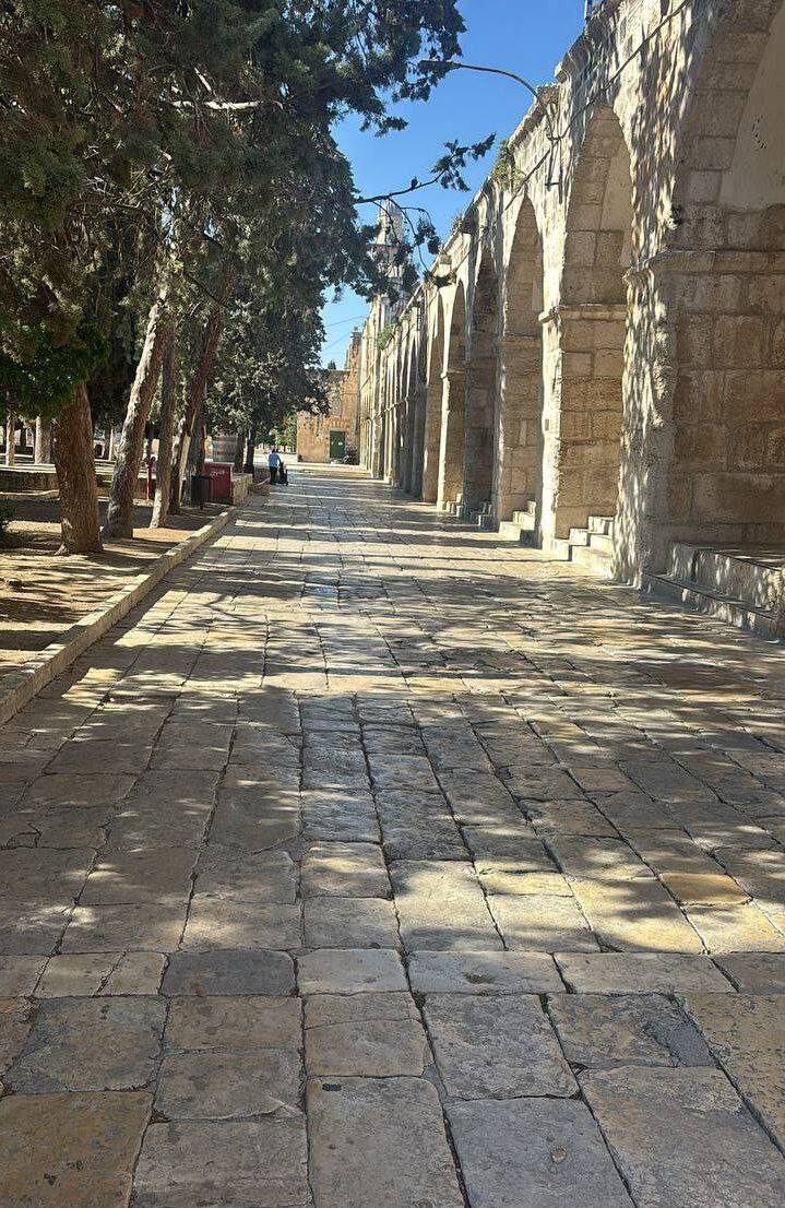 IMG 20250613 172003 338 IMG 20250613 172003 338