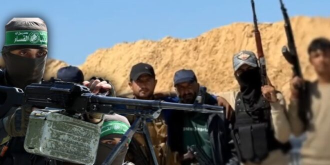 image 2025 06 11 13 30 06