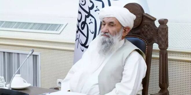 5920405357618907272 120