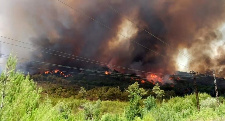 2025 07 04 suriye lazkiye yangin 1 aa 2025 07 04 suriye lazkiye yangin 1 aa