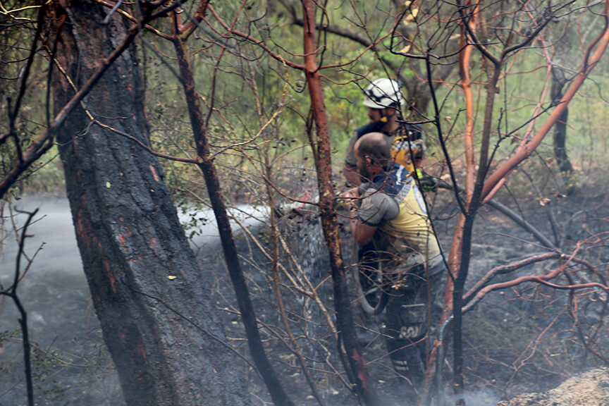 20250510 2 68975991 112762534 20250510 2 68975991 112762534