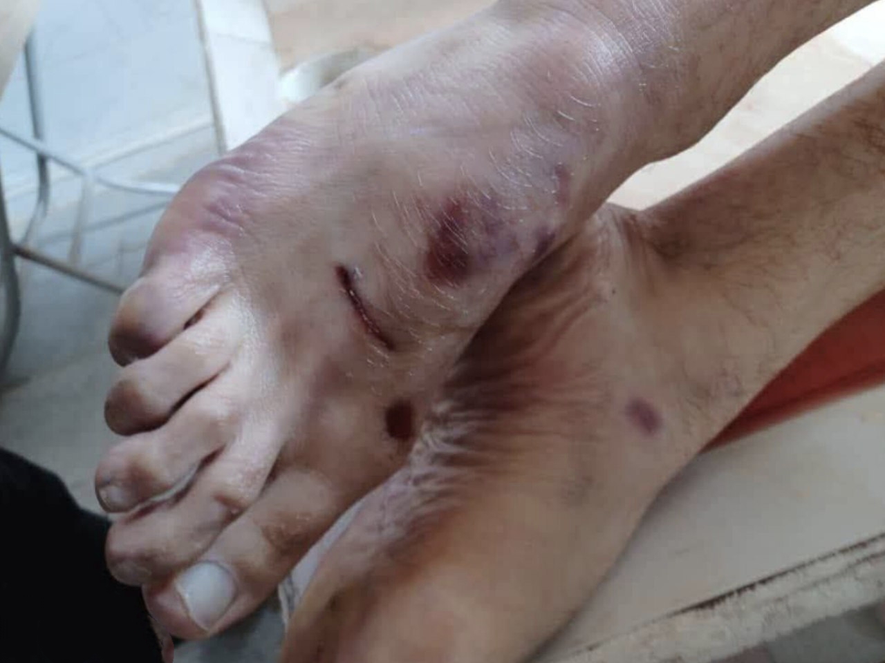 IMG 20250731 014632 IMG 20250731 014632