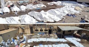 5767193935616265342 121