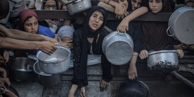 IMG 20250720 135316 680