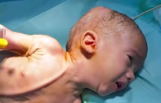 Ekran görüntüsü 2025 07 12 101105