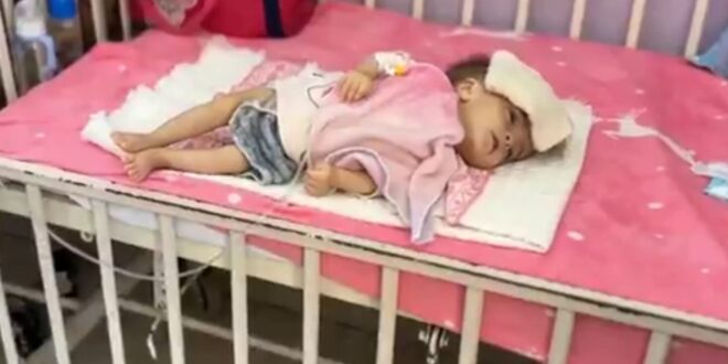 Ekran görüntüsü 2025 07 03 020643