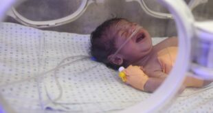 image 2025 07 01 19 54 22