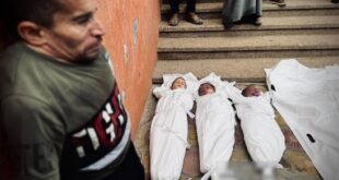 image 2025 07 11 20 23 50