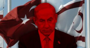 image 2025 07 31 11 20 04