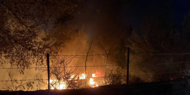 photo 2025 07 06 17 07 45