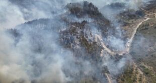 photo 2025 07 07 03 23 10