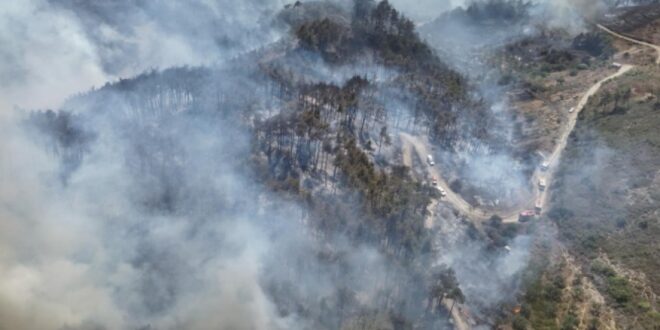 photo 2025 07 07 03 23 10