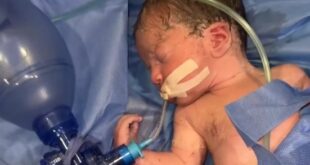 image 2025 07 28 17 32 15