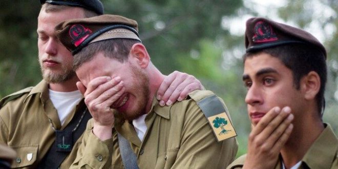 image 2025 07 28 16 52 39