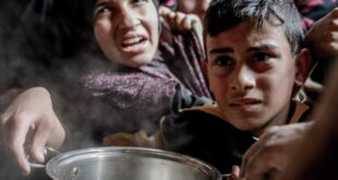 thumbs b c 3da928e2f2363a8f891d301961e49ee4