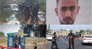 5769364307144985199 121