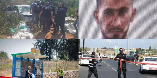 5769364307144985199 121