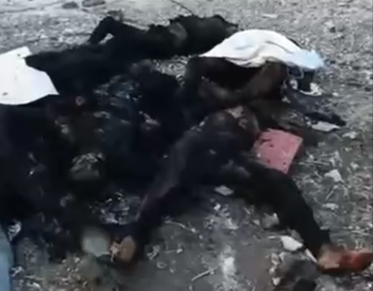 IMG 20250720 224227 IMG 20250720 224227