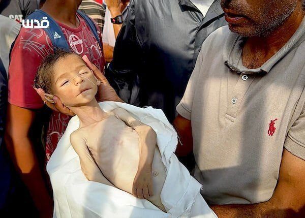 IMG 20250722 192332 672 IMG 20250722 192332 672