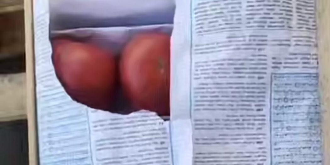 Özbekistan’da Kur’an sayfaları böyle ambalaj kağıdı oldu!