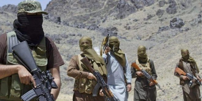 IMG 20250814 102945 524