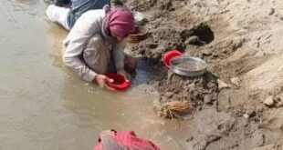 5787609225139179043 121