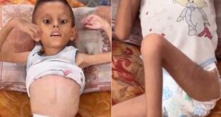 image 2025 08 14 12 04 54