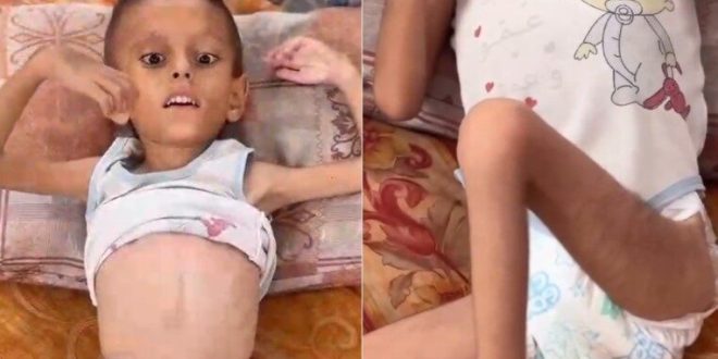 image 2025 08 14 12 04 54