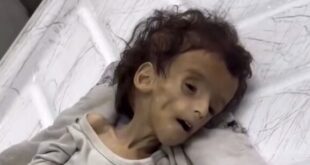 Ekran görüntüsü 2025 08 11 194145