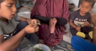 Ekran görüntüsü 2025 08 01 095447