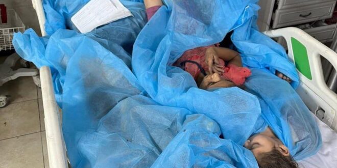 5848331562964338988 121