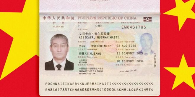 image 2025 08 07 13 44 45