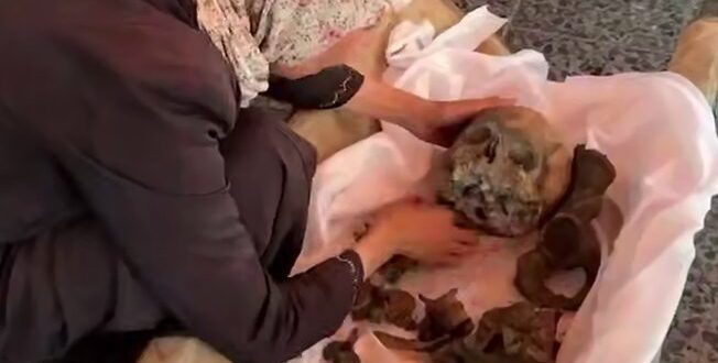 Ekran görüntüsü 2025 08 14 230749