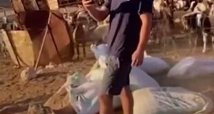 Ekran görüntüsü 2025 09 13 115500