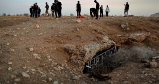 image 2025 09 24 23 04 56