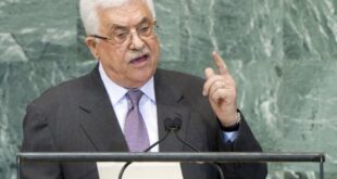 5944837012794231414 121 (0)