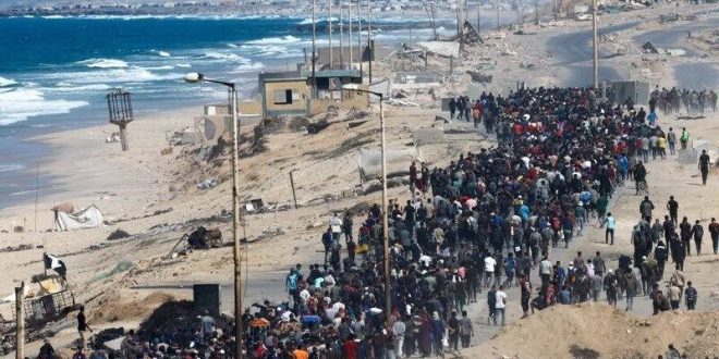 6001225535344200337 120 (0)