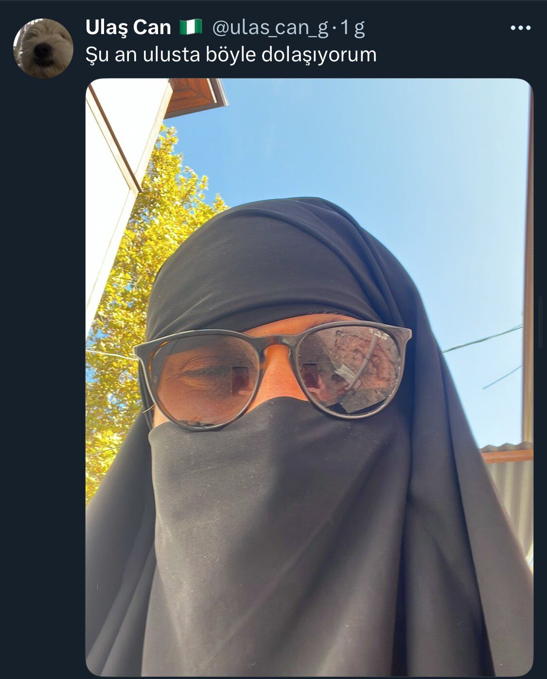 6023803491224504644 119 6023803491224504644 119