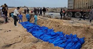 gaza gravess 750x375