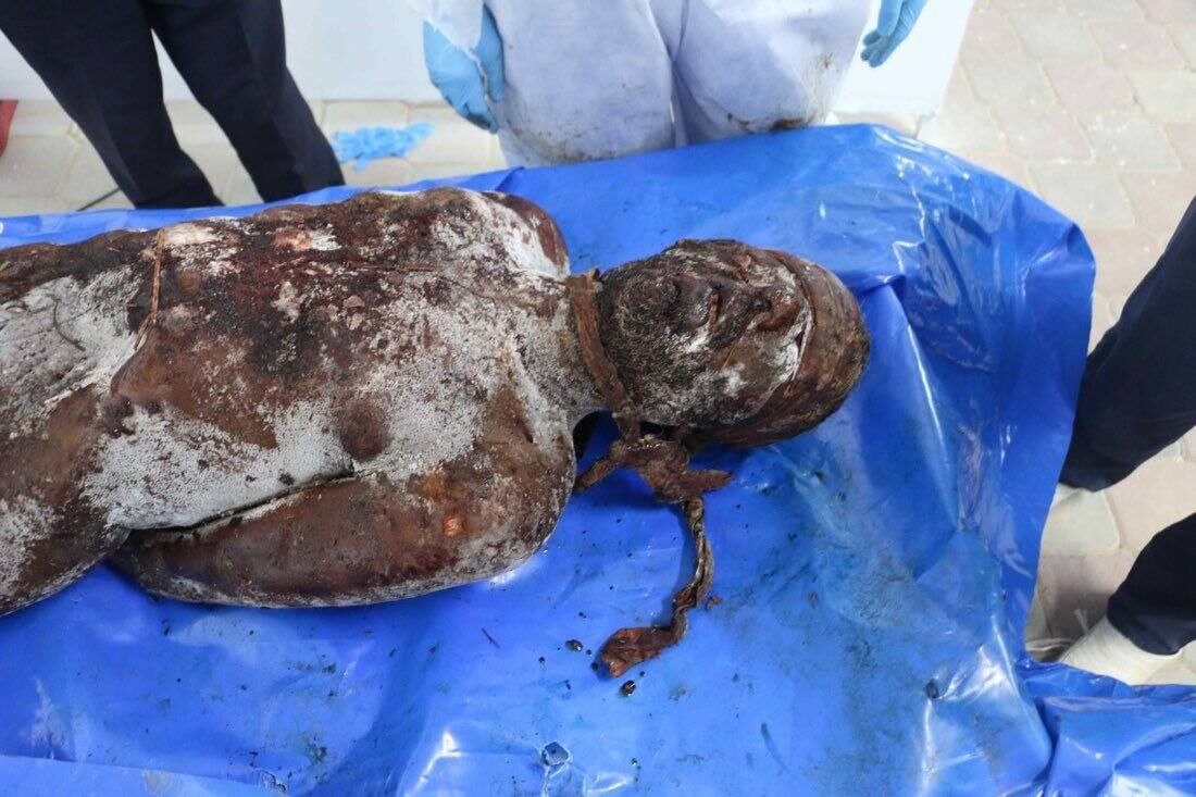 image 2025 10 16 19 41 47 image 2025 10 16 19 41 47