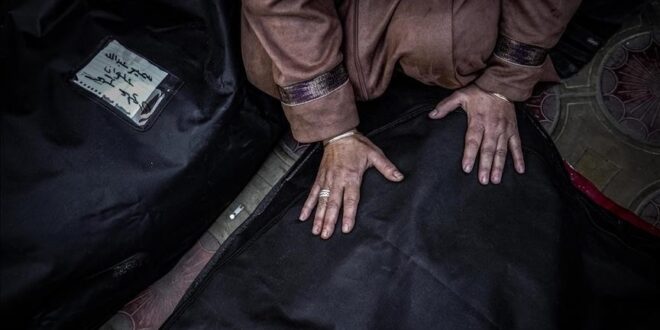 image 2025 10 17 12 59 55