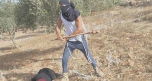 image 2025 10 21 17 43 14