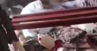 image 2025 10 31 14 34 03