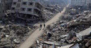 Chotiner Gaza Death Toll