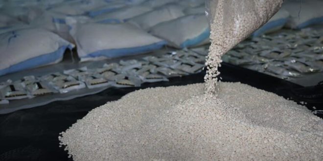 image 2025 10 29 12 25 31