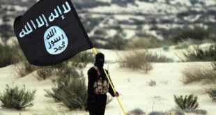 image 2025 10 16 14 42 34