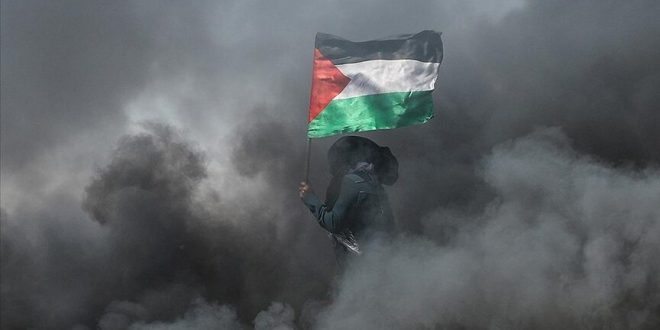 thumbs b c 8dbfea807c3eb968b3f9ca5207ea22e7