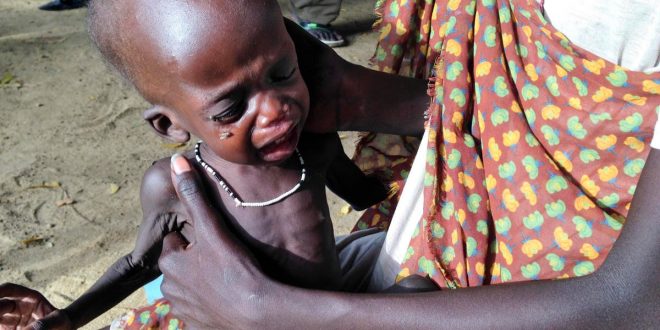 8c8ec907 f9cb 4abc b44d 8ea3d06c6ed5 16x9 1200x676