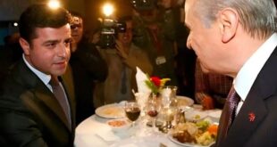 image 2025 11 04 13 35 22