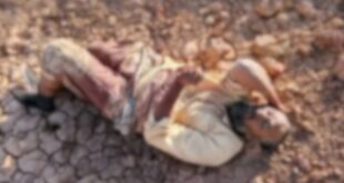 image 2025 11 12 18 56 06